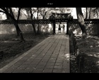 dailyPhoto35